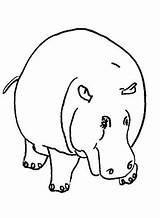 Nijlpaarden Nijlpaard Kleurplaten Hippos Hippopotame Nil Kuda Malvorlage Mewarnai Animasi Hippopotames Animierte Bergerak Kolorowanki Hipopotamy Nilpferde Colorat Planse Ippopotami Ausmalbild sketch template