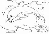 Coloring Dolphin Pages Sea Animals Fish Animal Print Colouring sketch template