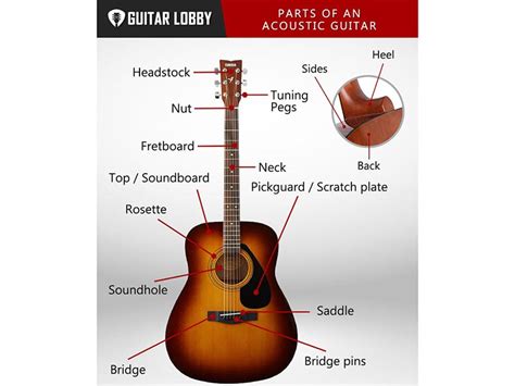 parts   acoustic guitar  diagram video  guitar lobby