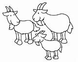 Goat Billy Coloring Pages Brothers sketch template