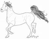 Arabian Horse Coloring Pages Getcolorings Getdrawings Printable Color sketch template