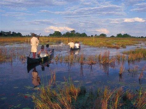 Namibia And Botswana Safari Helping Dreamers Do