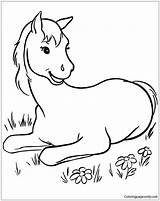 Horse Pages Cute Coloring Print Color Adults sketch template