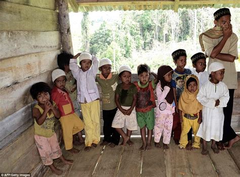 nomadic indonesian jungle people tribe converts to islam daily mail