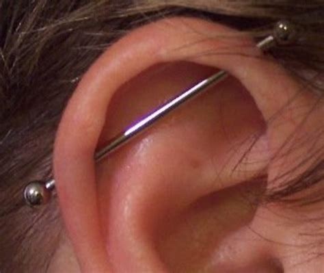 How Much Does An Industrial Piercing Cost Hubpages