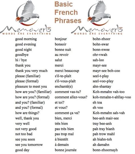 images  learn french basic  pinterest