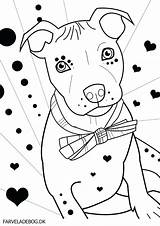 Coloring Pitbull Pages Bull Dog Terrier Pit Puppy Puppies Drawing Getdrawings Silhouette Printable Getcolorings Face Clip Colorings Popular sketch template
