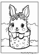 Rabbits Iheartcraftythings Blushing Cheeks sketch template