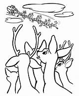 Reindeer Rudolph Nosed Sleigh Bestcoloringpagesforkids sketch template