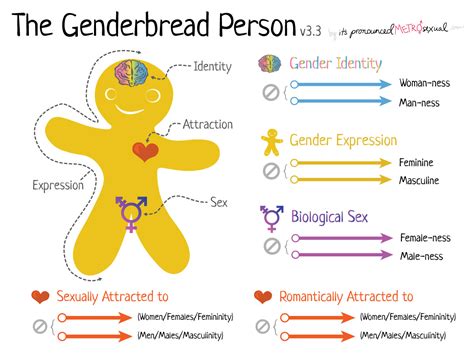 genderbread person minimal v3 3 the genderbread person