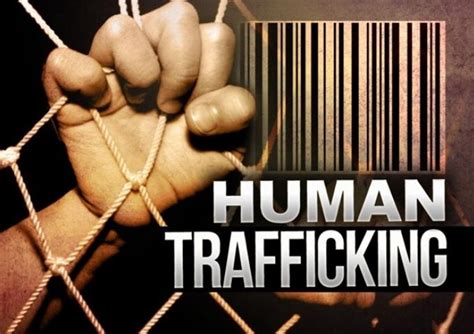 local program to compare contrast human trafficking with