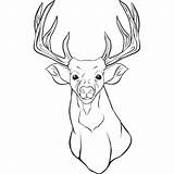 Coloring Deer Pages Head Printable Kids Contents sketch template