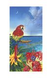 parrot posters  allposterscom