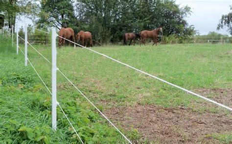 electric wire fencing field fence horse fencing cattle fencing