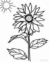 Sonnenblumen Ausmalbilder Ausdrucken sketch template