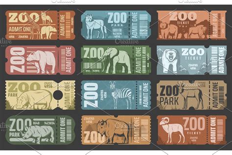 zoo park   animals custom designed illustrations