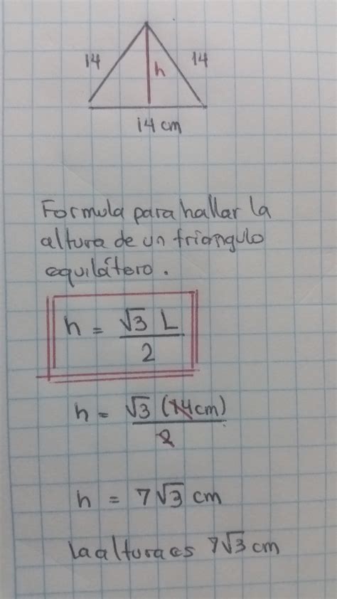 calcula la altura de un triangulo equilatero de 14cm de lado brainlylat