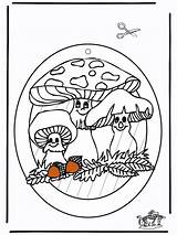Raamhanger Fungi Paddestoel Janela Decorazione Finestra Grzyby Okno Fungus Adorno Knutselen Advertentie Kreativitet Pubblicità Okna sketch template