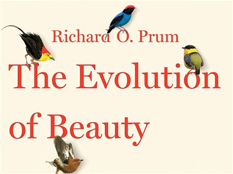 The Evolution Of Beauty With Richard O Prum Nov 18