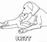 Britt Naam Hond Kleurplaat sketch template