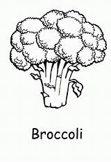 Coloring Broccoli Pages Popular Brocolli sketch template