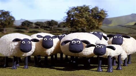 shaun  sheep theme song acordes chordify