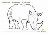 Coloring Beetle Rhinoceros Pages Jumanji Kids Rhino Printable Designlooter Sheet 1kb 1010 Getdrawings sketch template