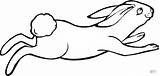 Liebre Lepre Hare Haas Saltando Hase Ausmalbild Springender Lepri Springende Liebres Lapin Rabbit Saute Conejos Hasen Kleurplaten Velozmente Salto Ausdrucken sketch template