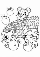 Hamster Coloring Pages Hamtaro Printable Cute Color Print Kids Getcolorings Anime sketch template