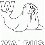 Walrus Alphabet Printable Coloring Wally Print Click Freeprintable sketch template