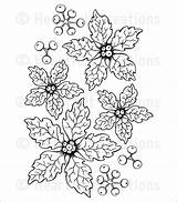 Poinsettia Sparkling Creations Heartfelt Step Stamp Coloring Heartfeltcreations Shaping Tutorial sketch template