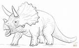 Coloring Pages Triceratop Dinosaur Printable Drawing sketch template