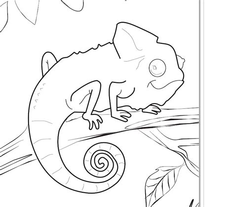 coloring pages  zoo  coloring pages collections
