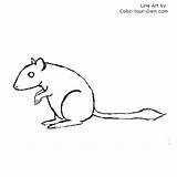Gerbil Coloring Pages Kids Index Sit Own Color sketch template
