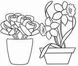 Pot Coloring Flower Pages Fresh Flowers Artfully Decorated sketch template