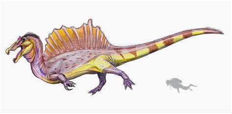 image spinosaurus   reconstructionjpg dinosaur wiki fandom