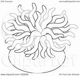 Anemone Sea Clipart Illustration Outlined Anemones Royalty Vector Bannykh Alex Clipground sketch template