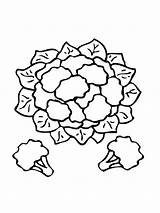 Coloring Cauliflower Pages Vegetables Recommended sketch template
