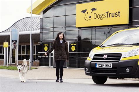 fitch creates indoor village  dogs trust rehoming centre design week