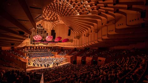 sydney opera house concert hall seating image