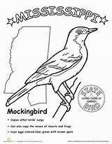 Mississippi State Bird Birds Worksheets Coloring sketch template