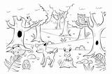 Foret Bosque Animales Bosco Coloriage Waldtiere Malvorlage Animaux Esistmeins Forêt Imprimer Dessins Malvorlagen Foresta Dessine Monetiquette Bosques Vorlagen sketch template