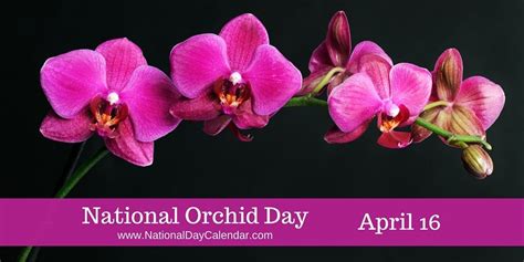 day proclamation national orchid day april  orchids