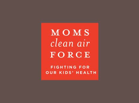 moms clean air force cyber services web  application development