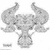 Taurus выбрать доску sketch template