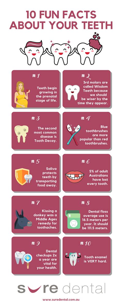 10 Fun Facts About Your Teeth