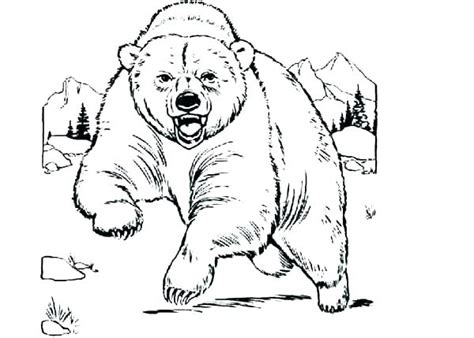 grizzly coloring pages  getdrawings