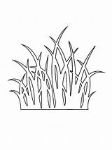 Grass Coloring Pages Green Seagrass Getdrawings sketch template