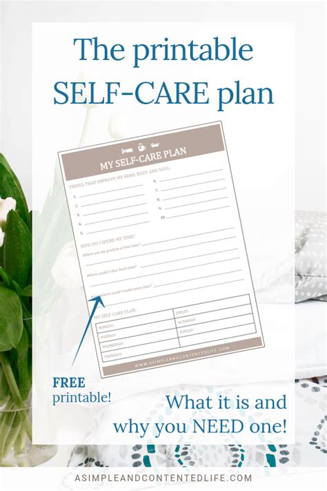 printable  care plan  simple  contented life