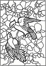 Coloring Pages Tiffany Dover Publications Welcome Doverpublications Book Glass Designs Dieren Insecten Samples Stained Zb Sheets Titles Browse Complete Catalog sketch template